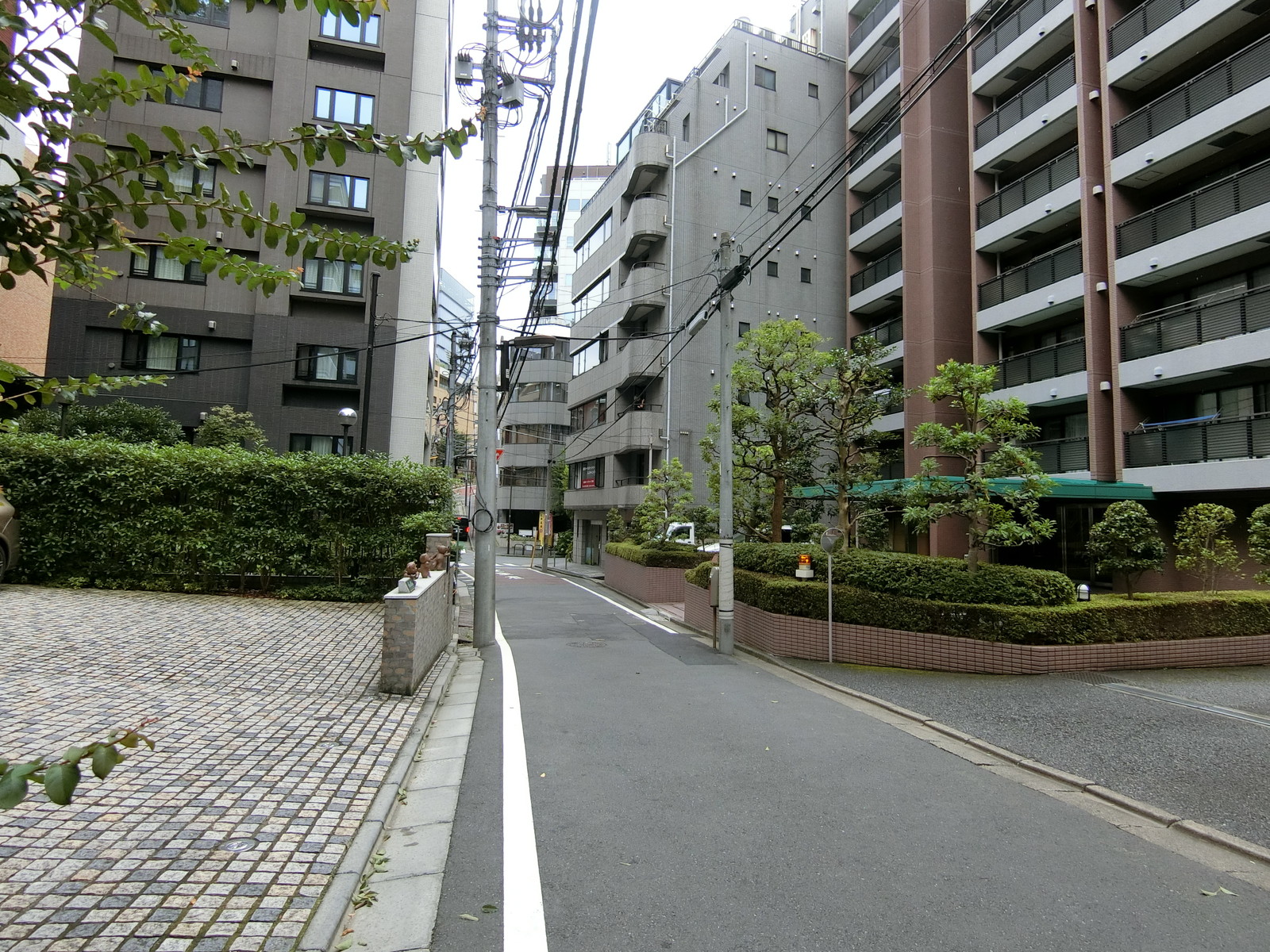 テディズコート一番町ビル前面の通り