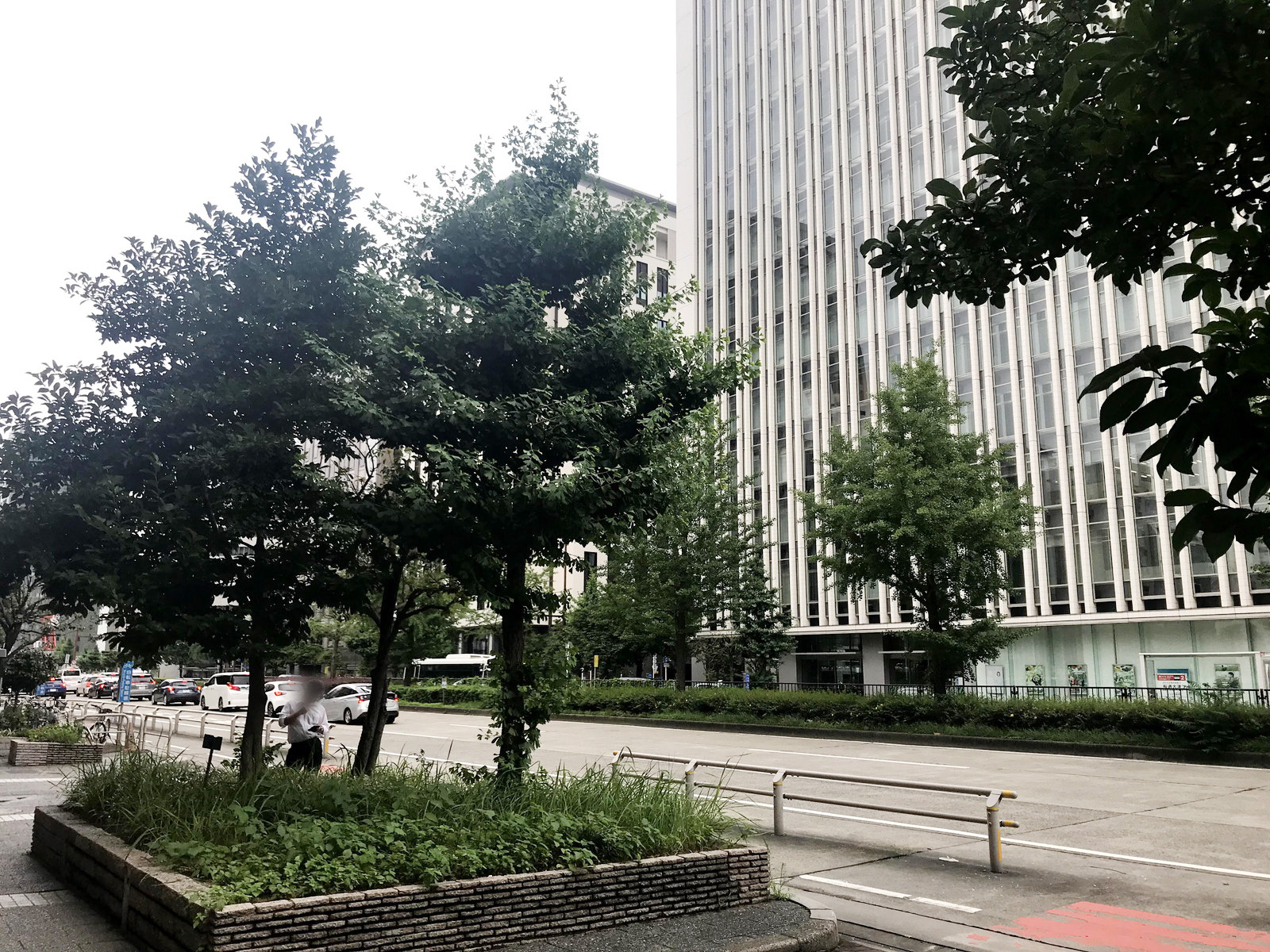 清風ビル前面の通り