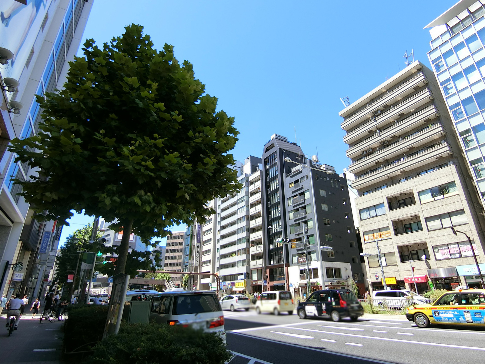 SANWA青山Bldg.前面の青山通り
