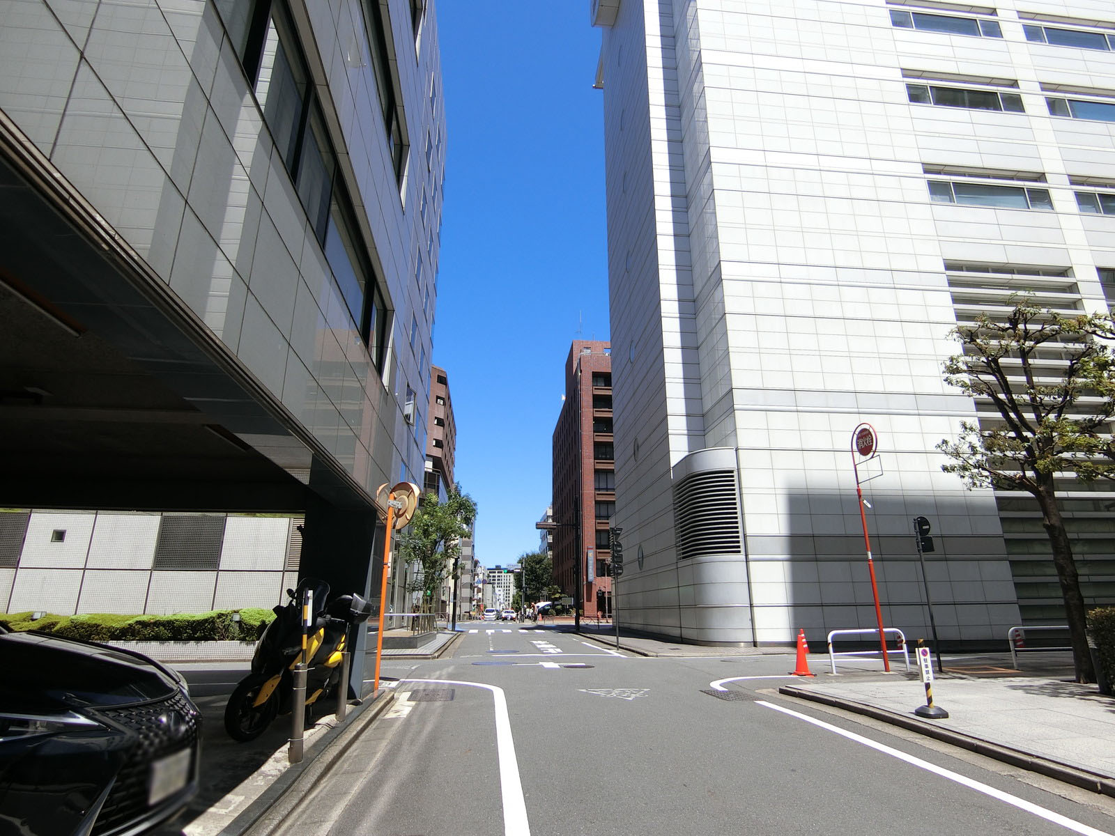 麹町守屋ビル前面の通り