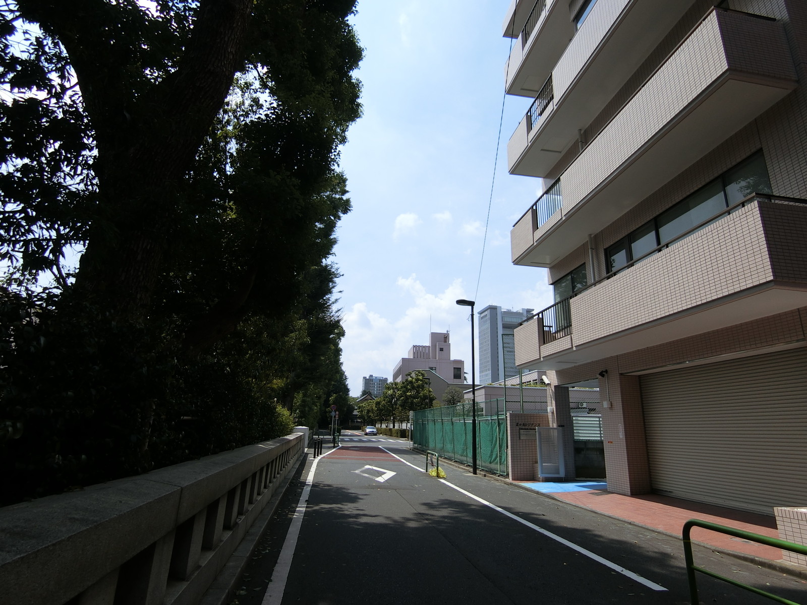 北の丸レジデンス前面の通り