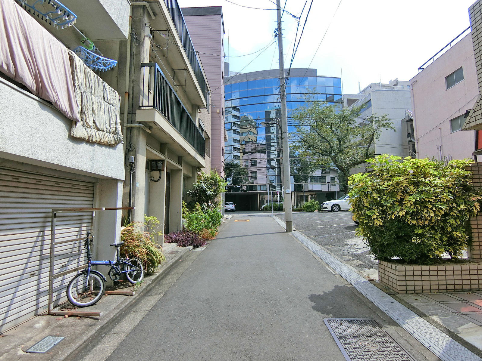 八幸ビル南大塚前面の通り
