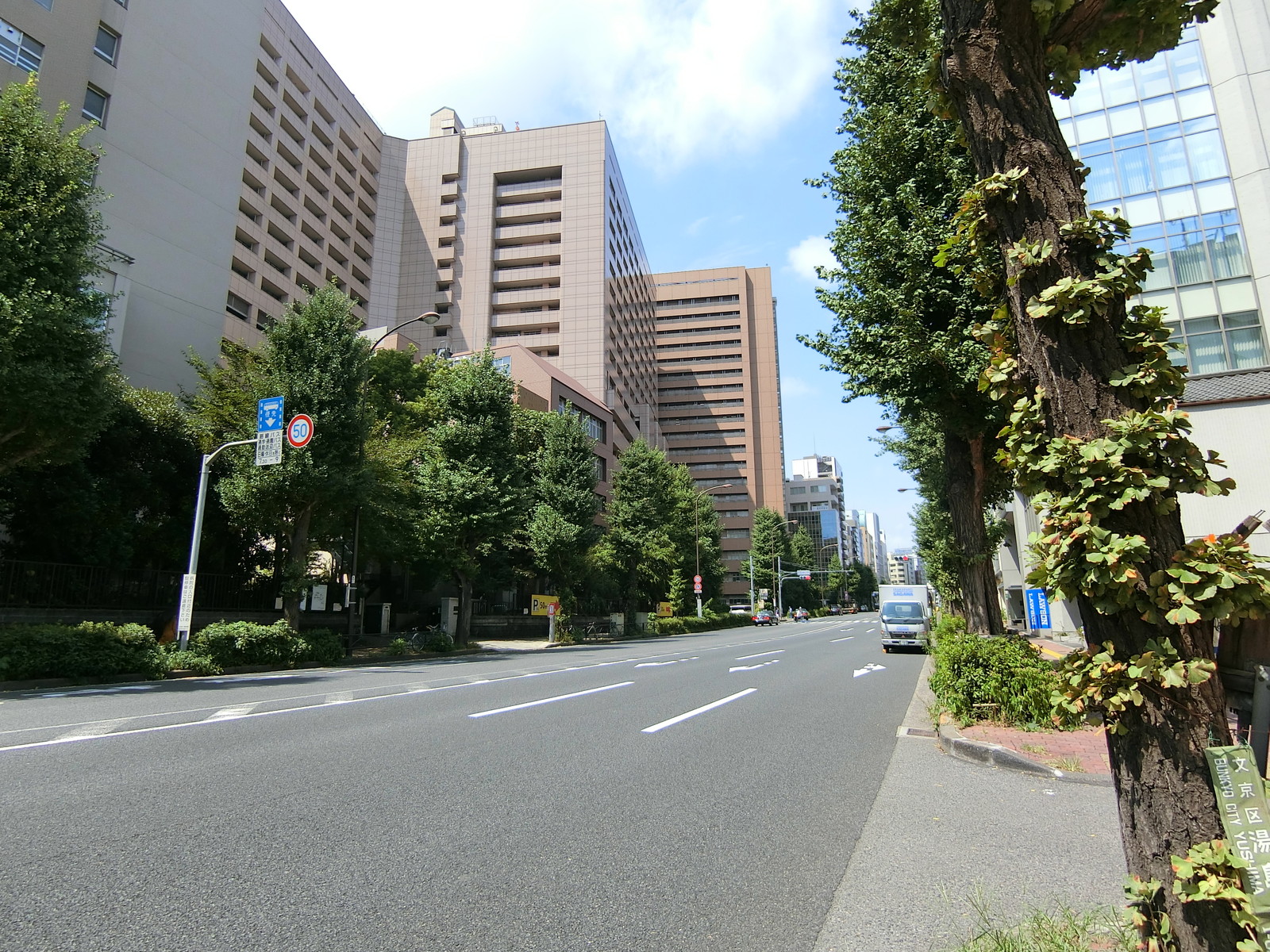 ユーメリアビル前面の中山道