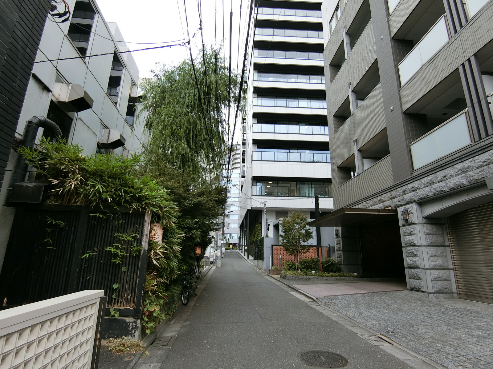 付近は落ち着いた雰囲気のエリア
