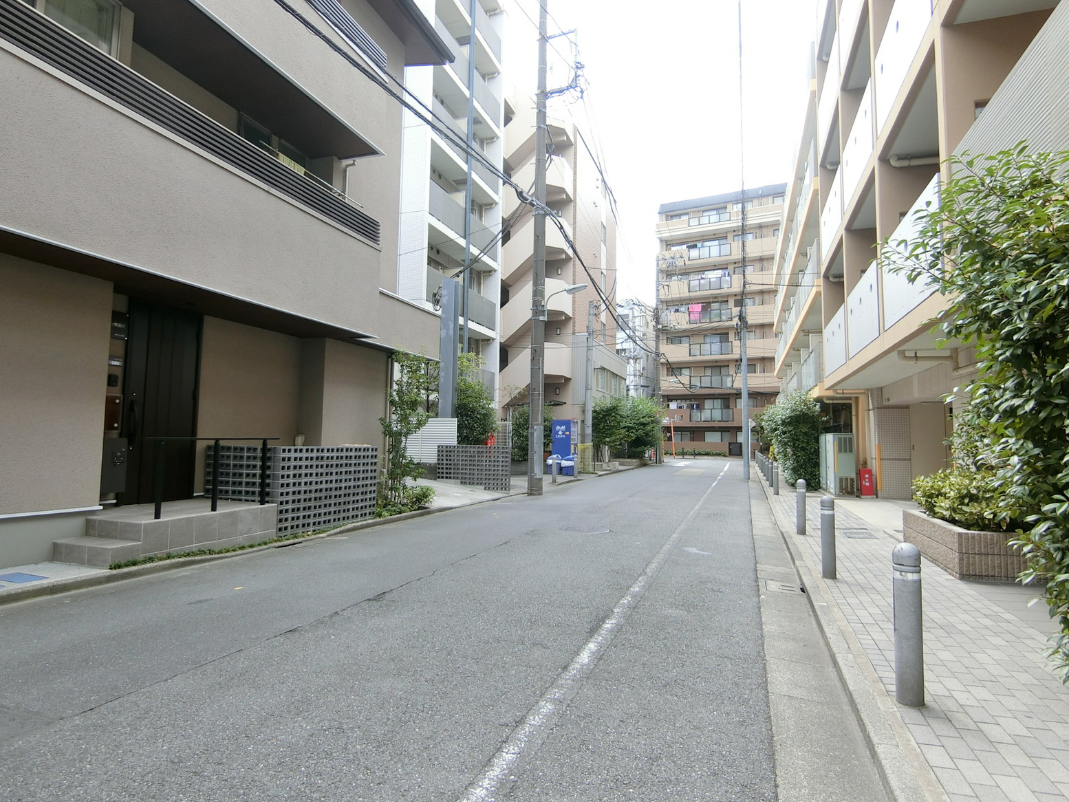 エイトビル前面の通り