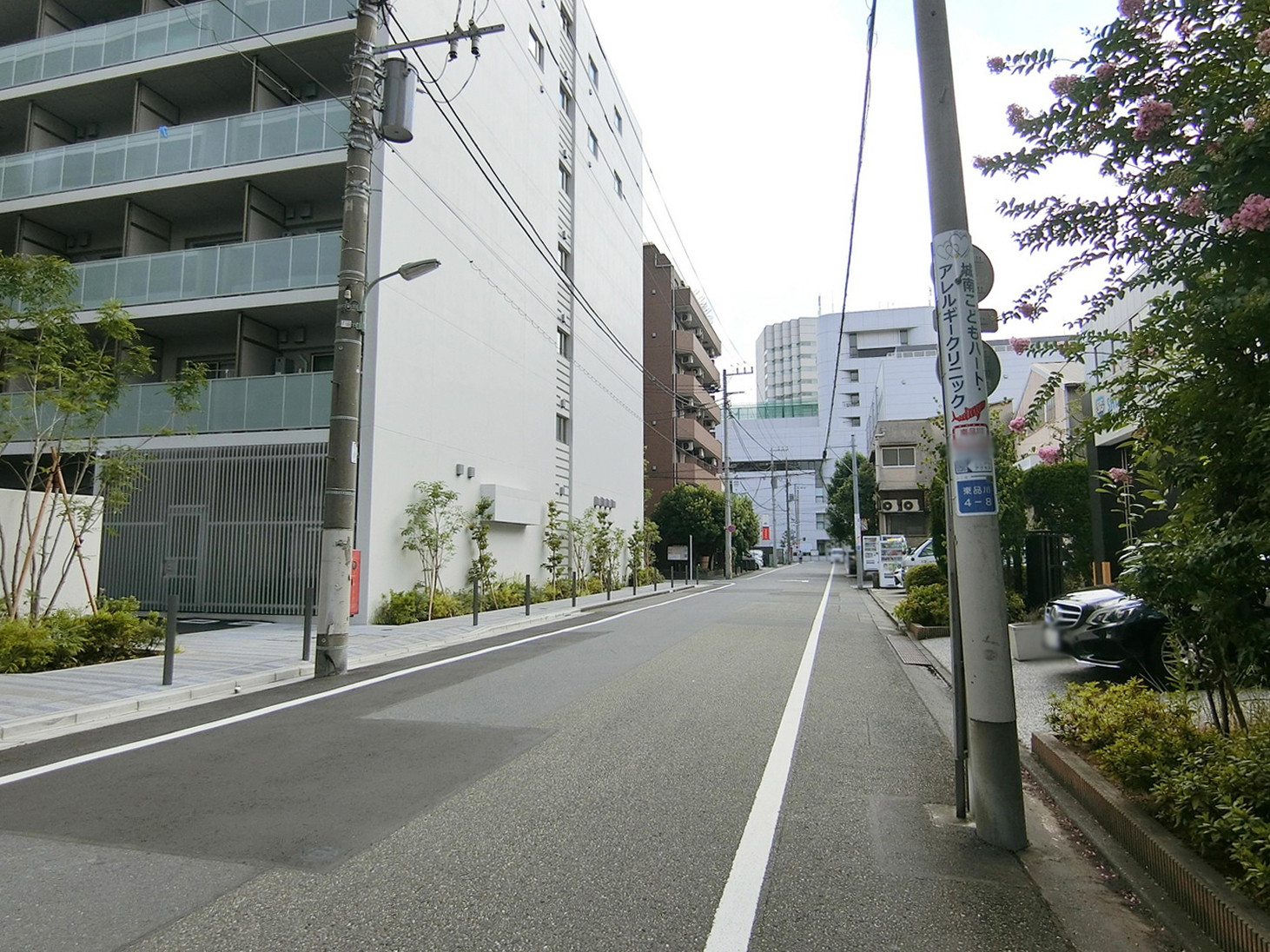 新幹ビル前面の通り