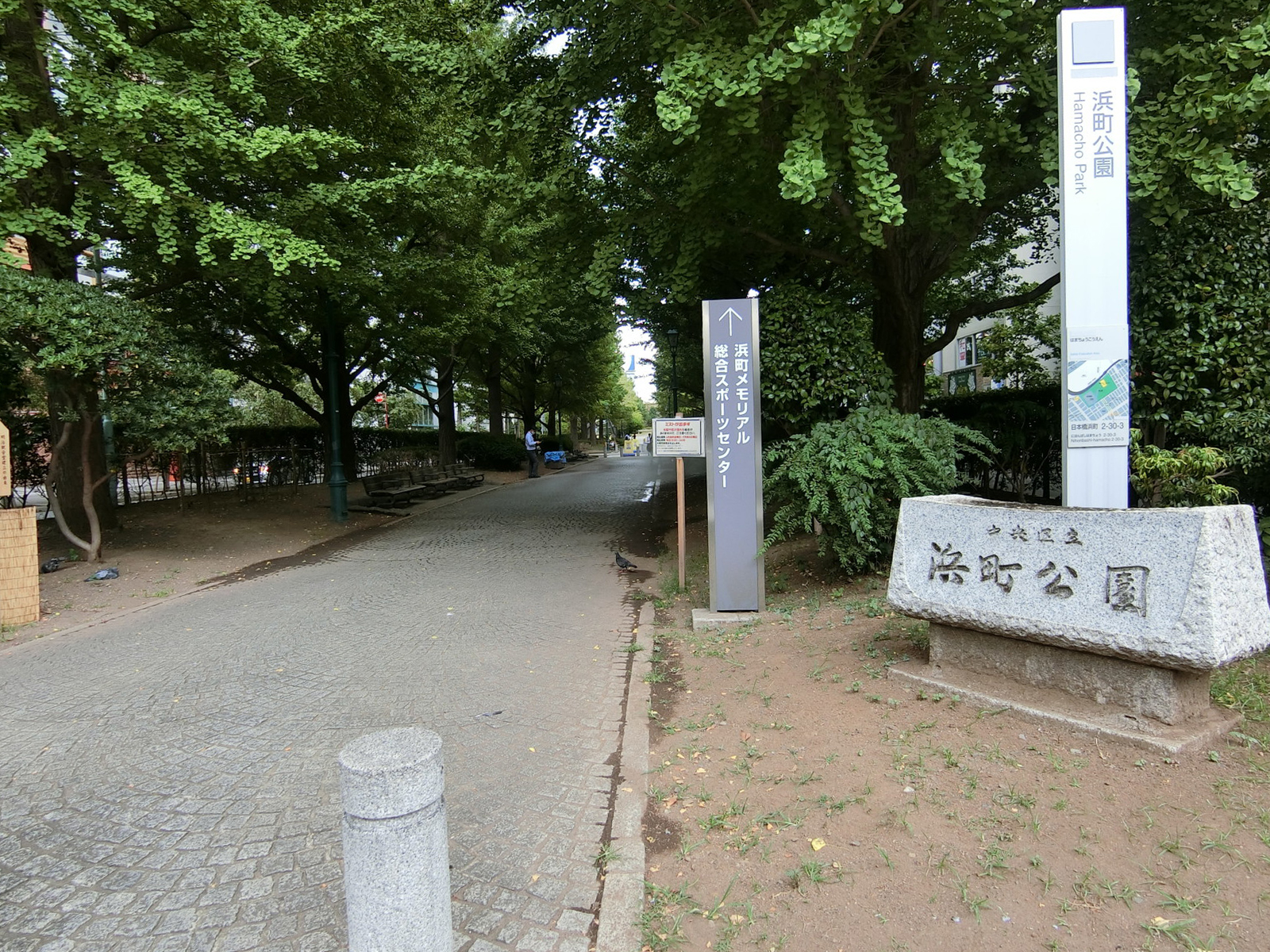 周辺の浜町公園