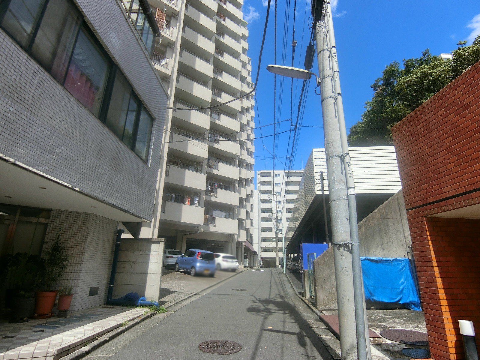 パティオ池田山前面の通り