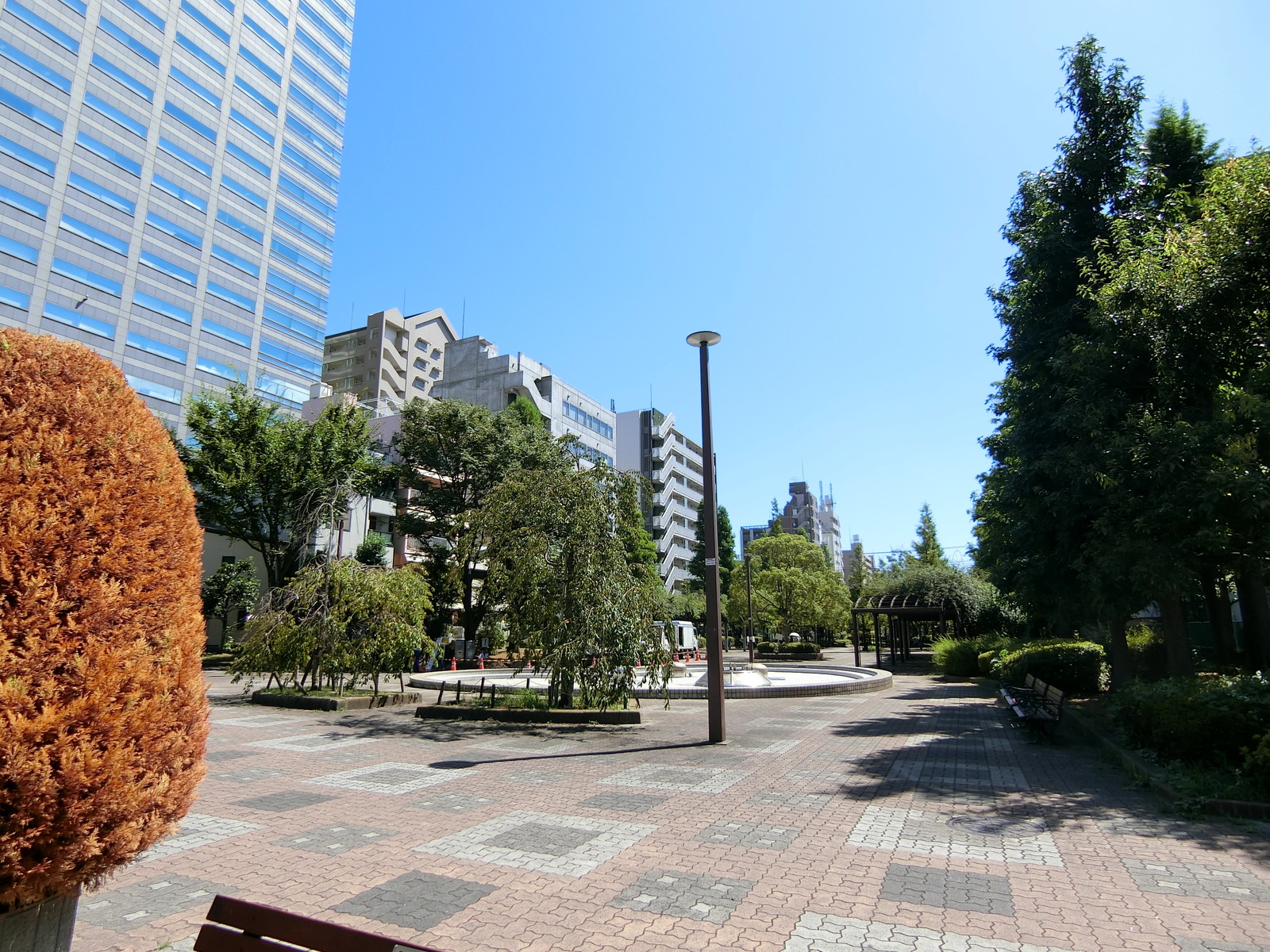 至近の大横川親水公園