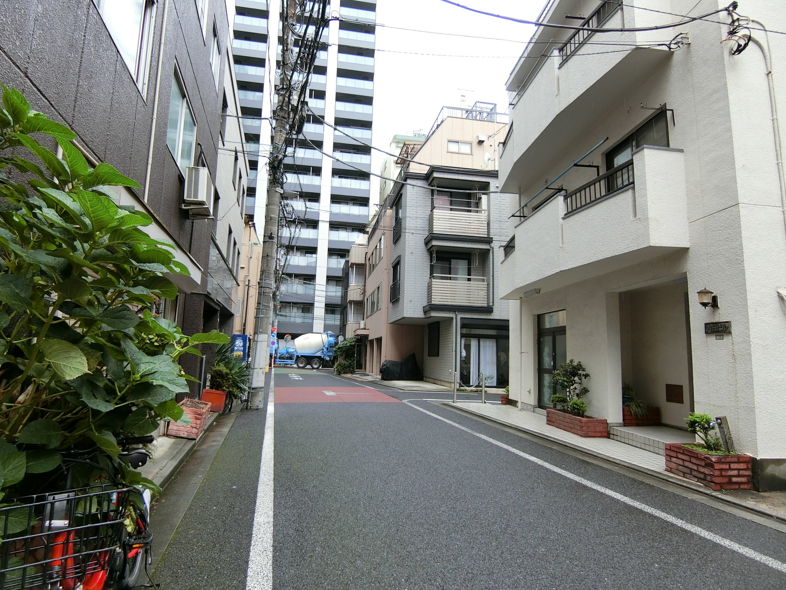 柏屋2ビル前面の通り
