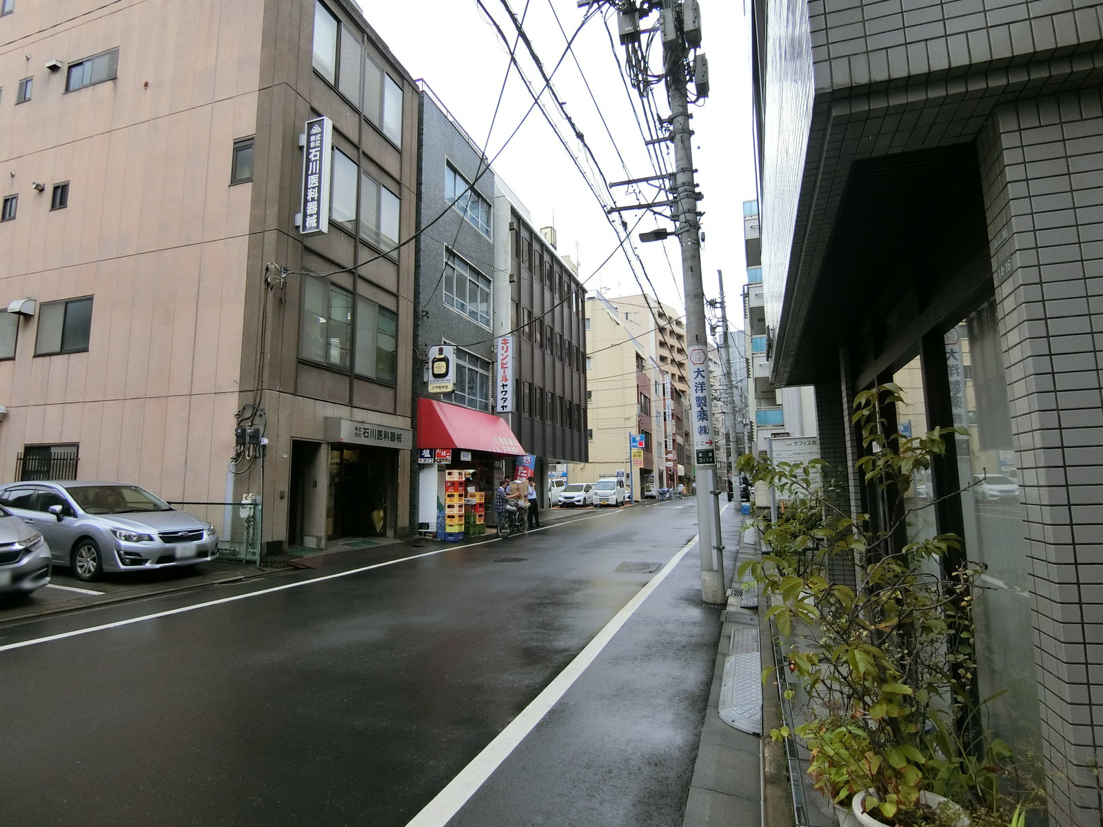 美工本郷第2ビル前面の通り