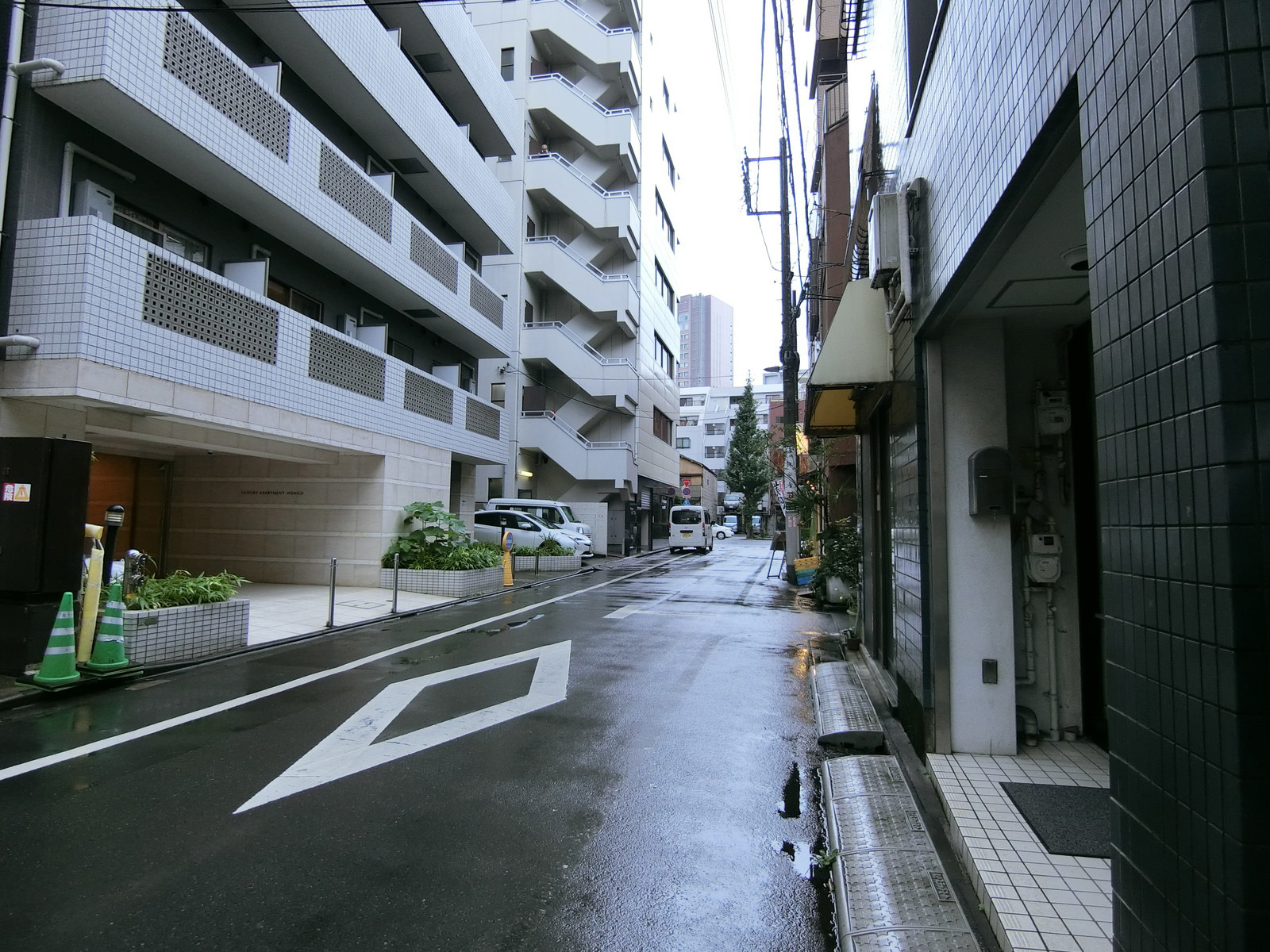 ゼットエー第二ビル前面の通り