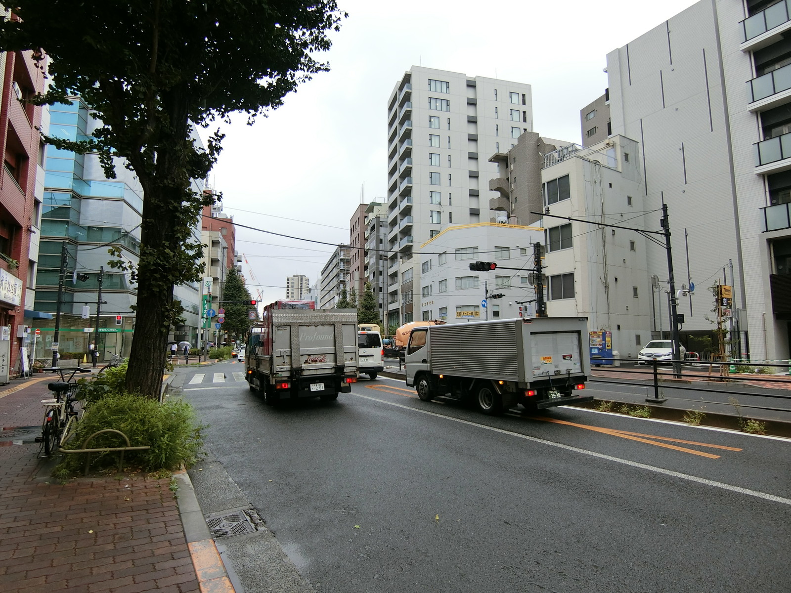 種苗会館ビル前面の通り