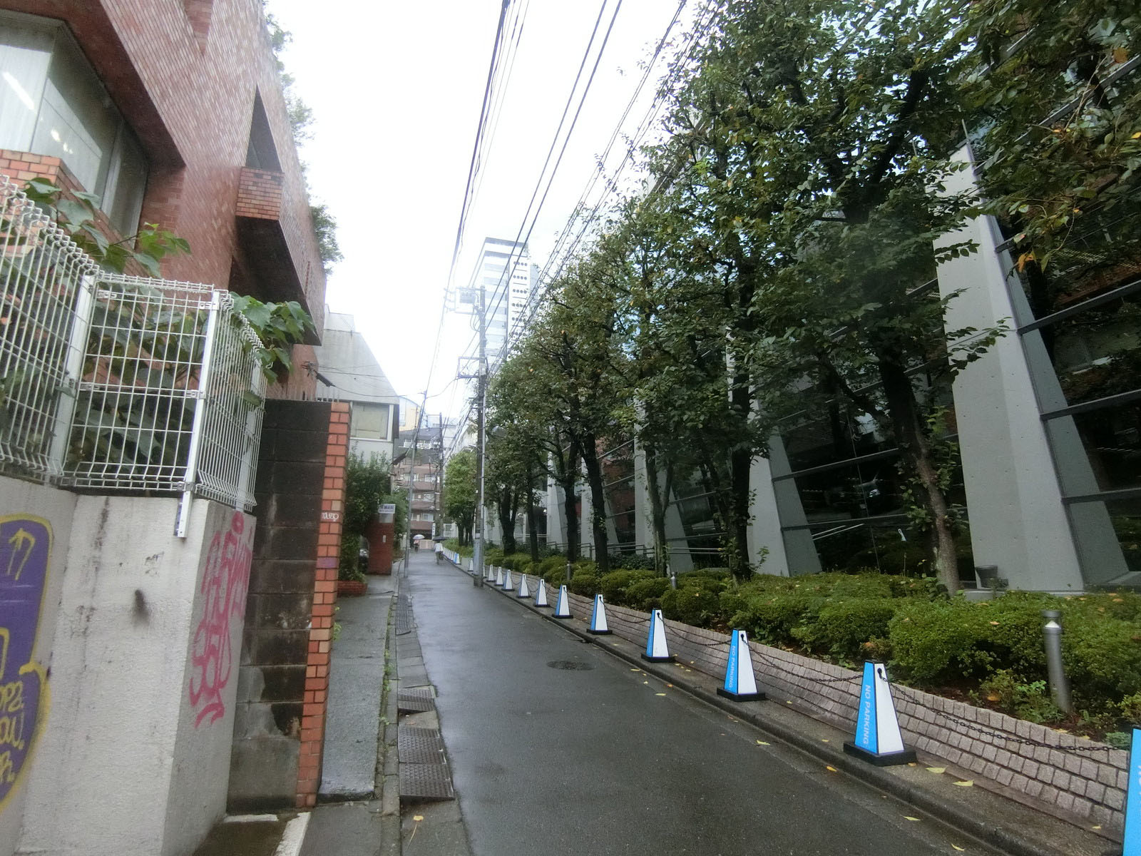 周辺は落ち着いた雰囲気のエリア