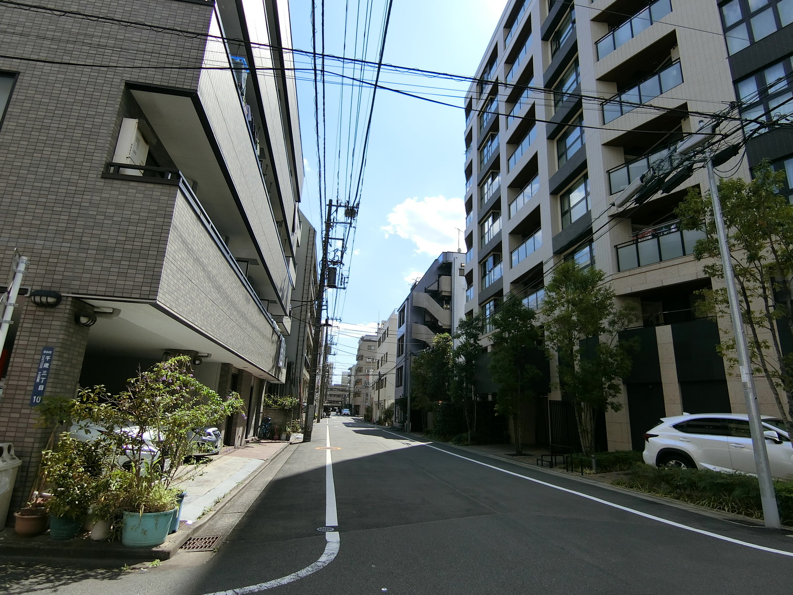 NAGAOビル前面の通り