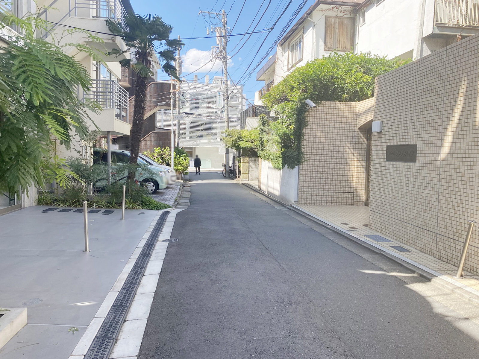 Dear表参道前面の通り