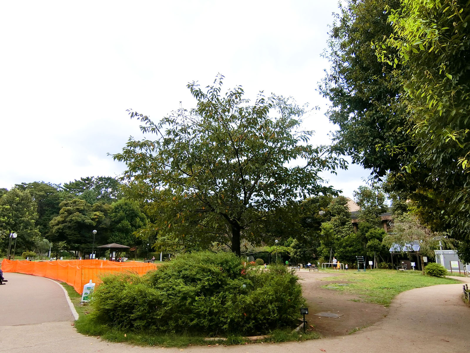 至近の白金台どんぐり児童公園