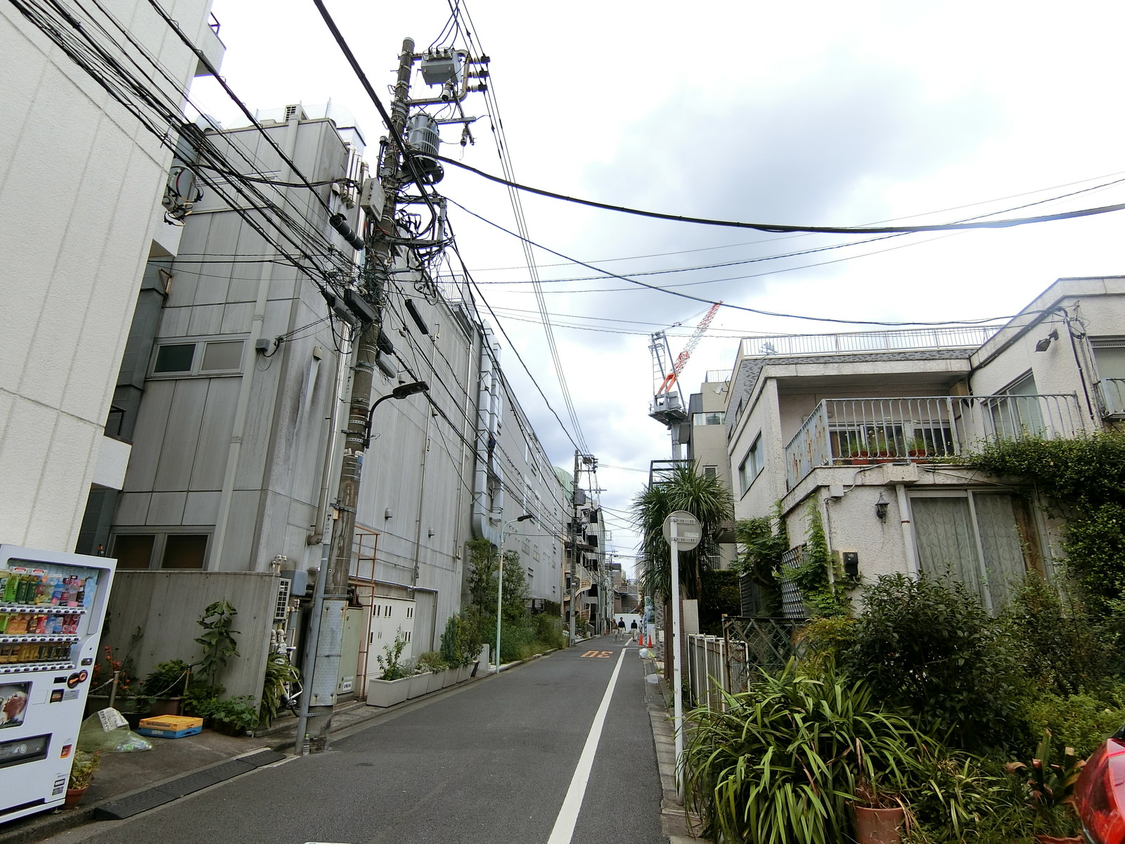 (仮)白金台ビル前面の通り