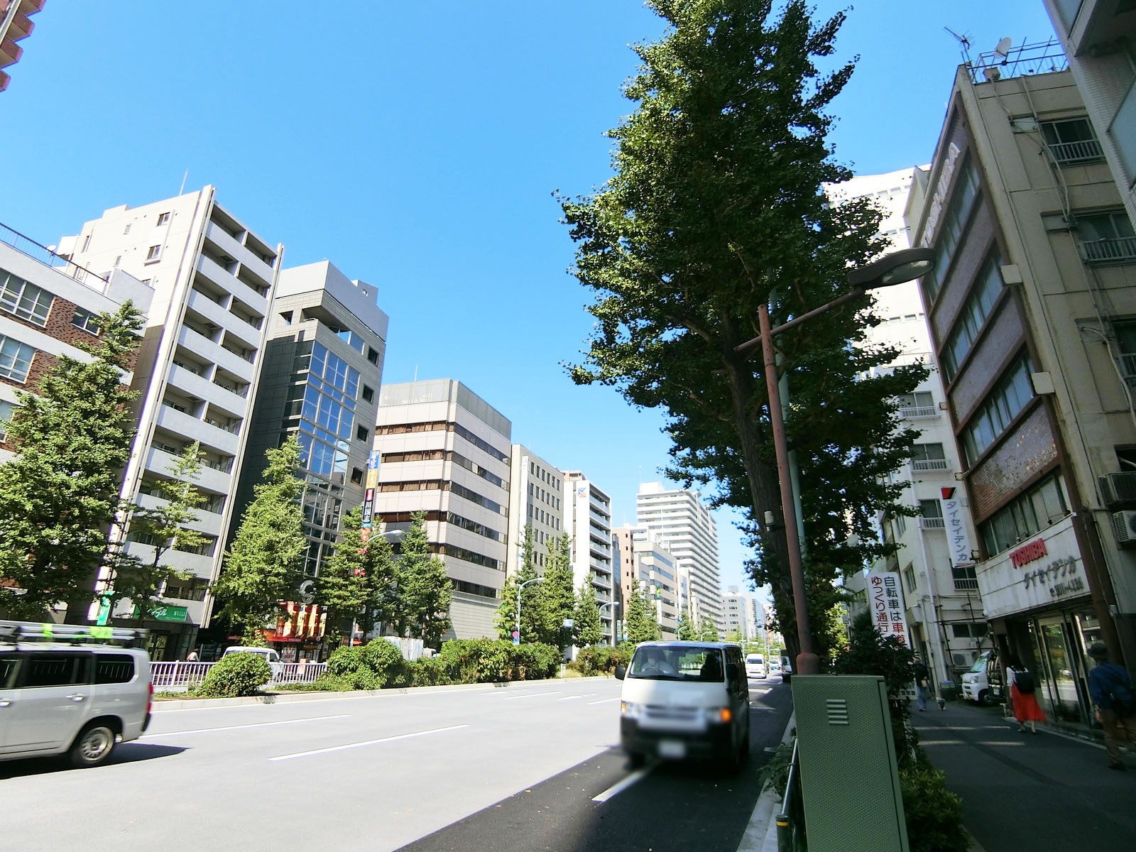 新香園ビル前面の白山通り