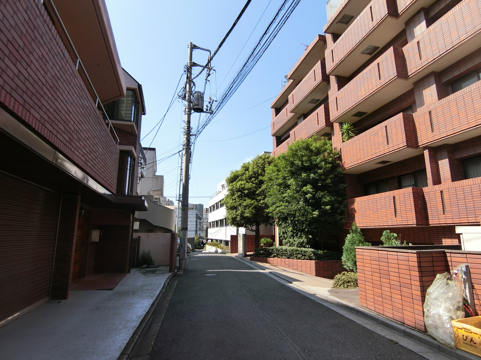 林田ビル前面の通り