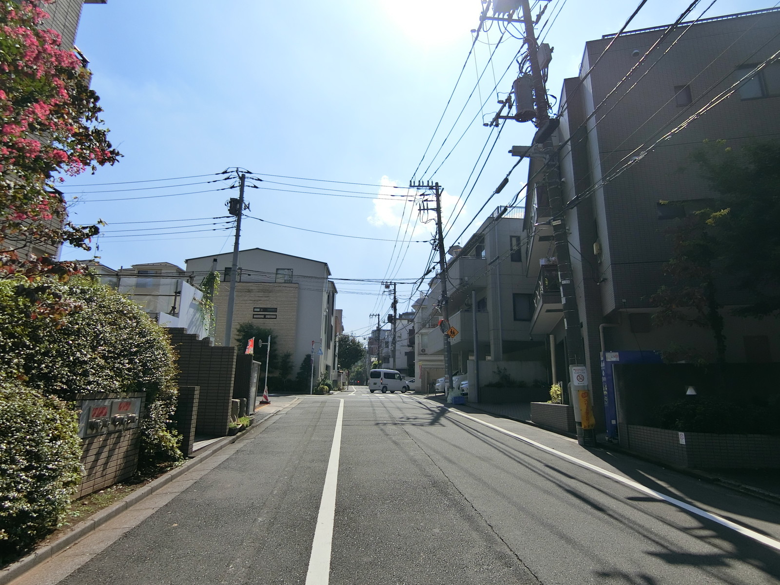 周辺は落ち着いた雰囲気のエリア