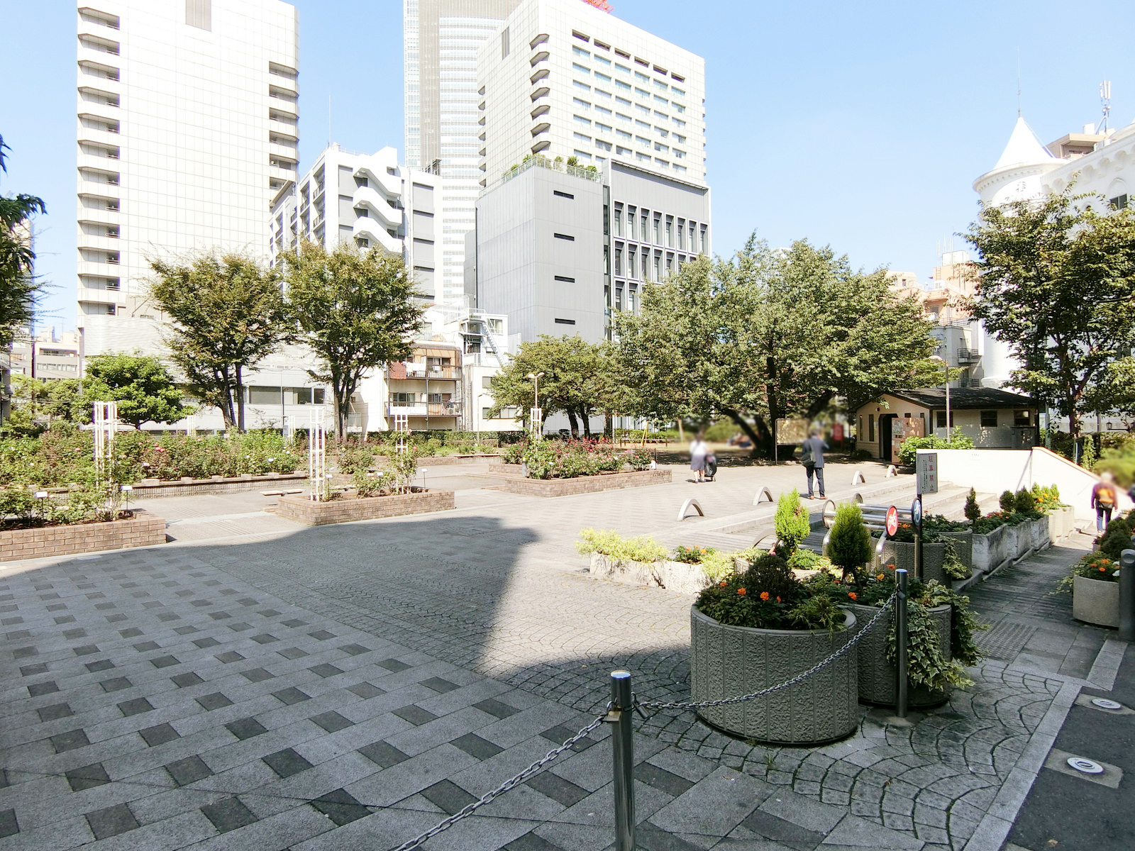 向かいの赤坂氷川公園
