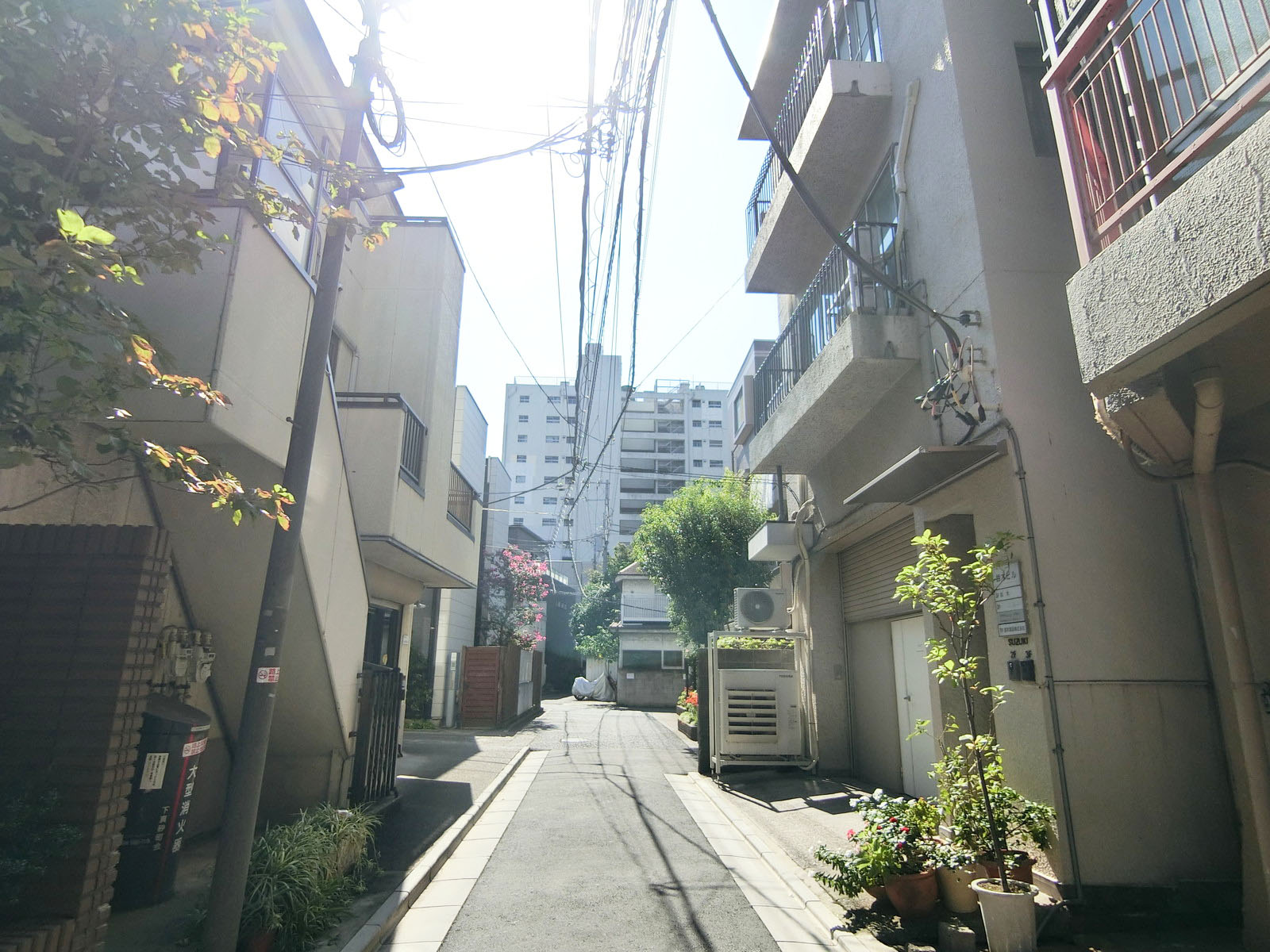 鈴木ビル前面の通り