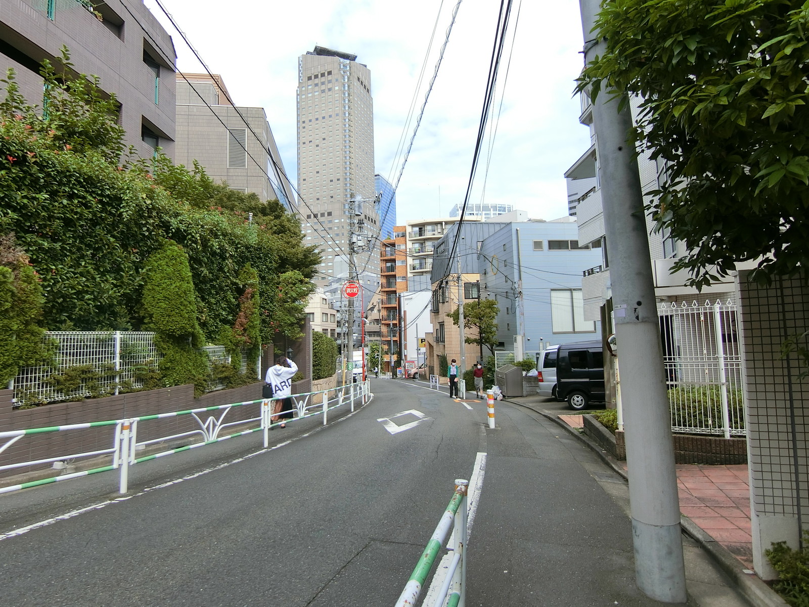 ジョイヒルズ南平台 前面の通り
