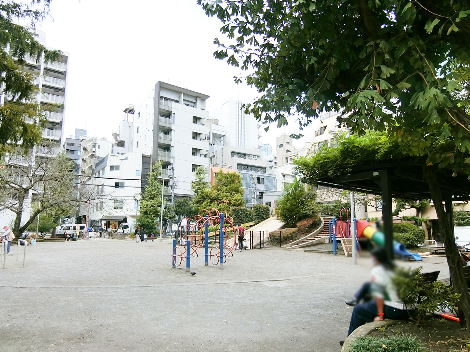 付近の網代公園