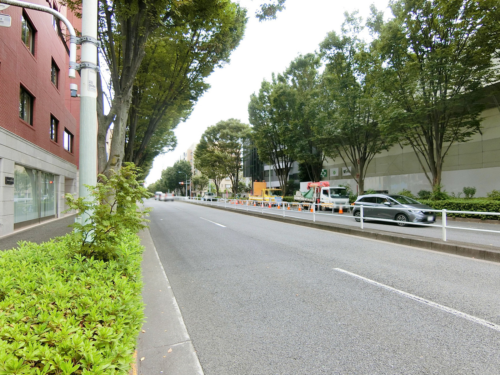コートアネックス大山町前面の井の頭通り