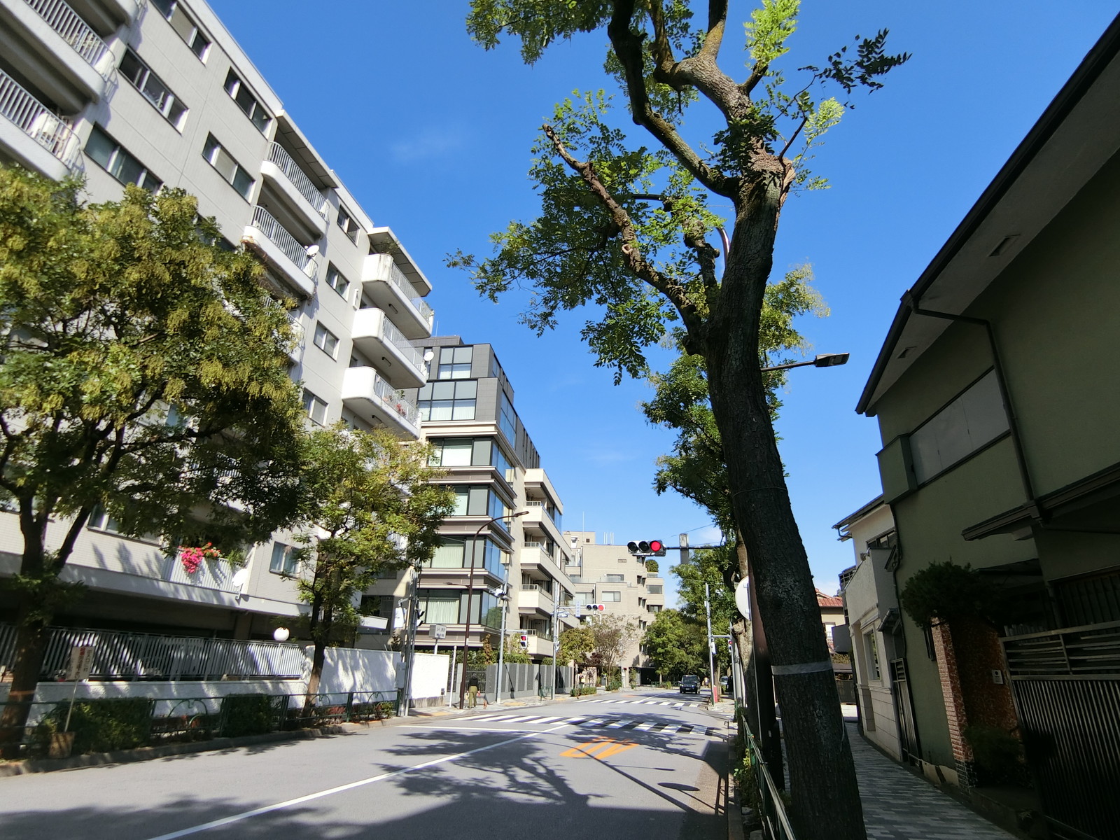 周辺は落ち着いた雰囲気のエリア