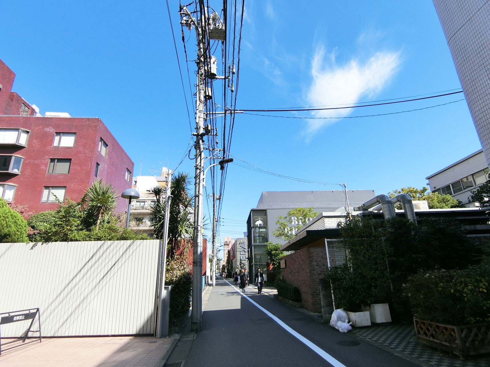 5610番館前面の通り