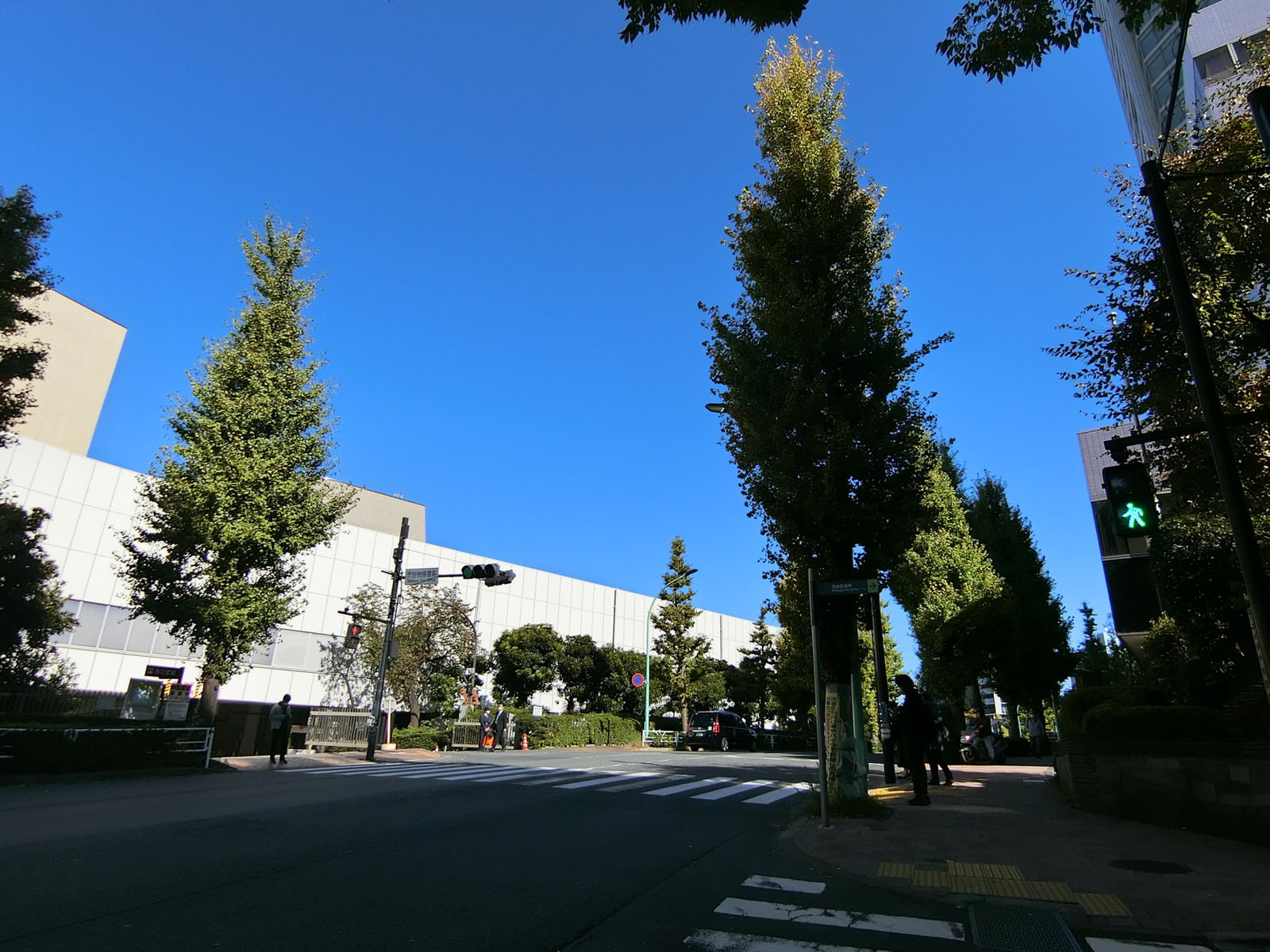 原宿パークマンション前面の通り