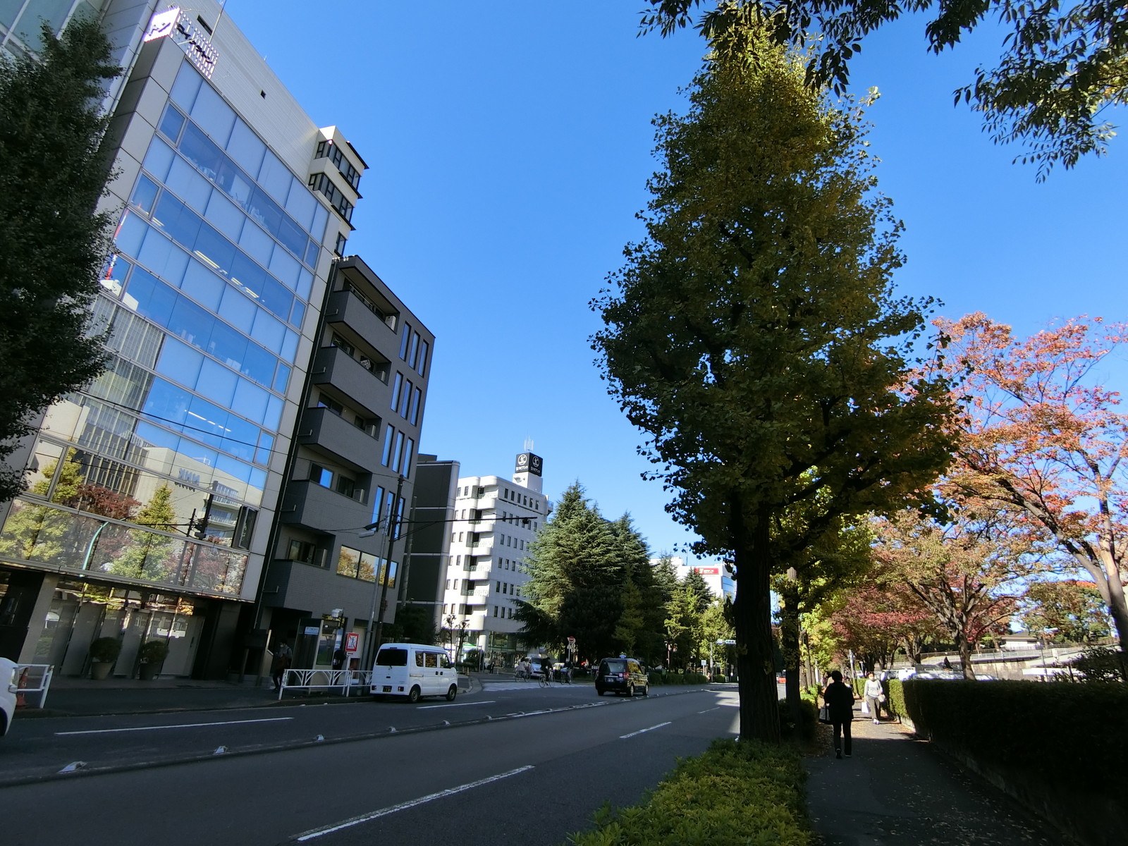 ロイクラトン神山前面の通り