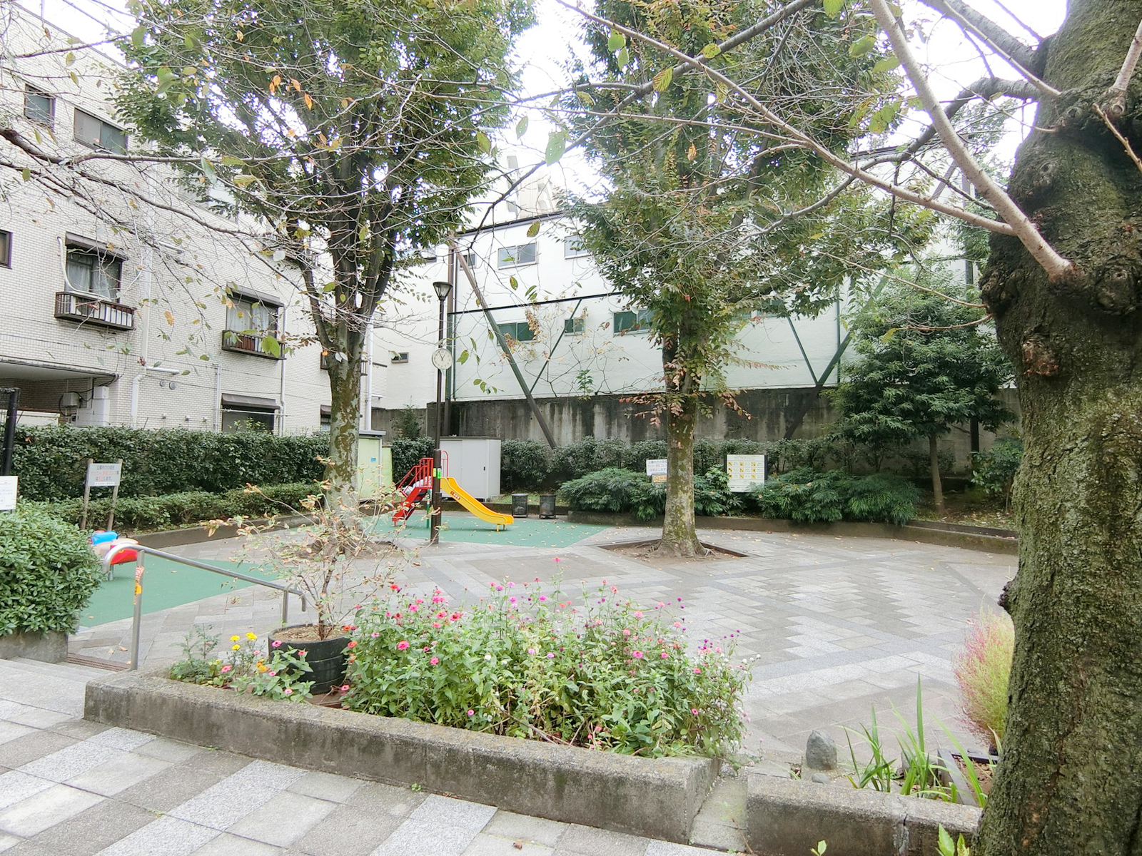 並びの新宿区立まつ川公園
