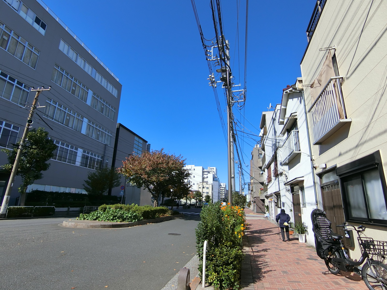東武豊洲ビル前面の通り