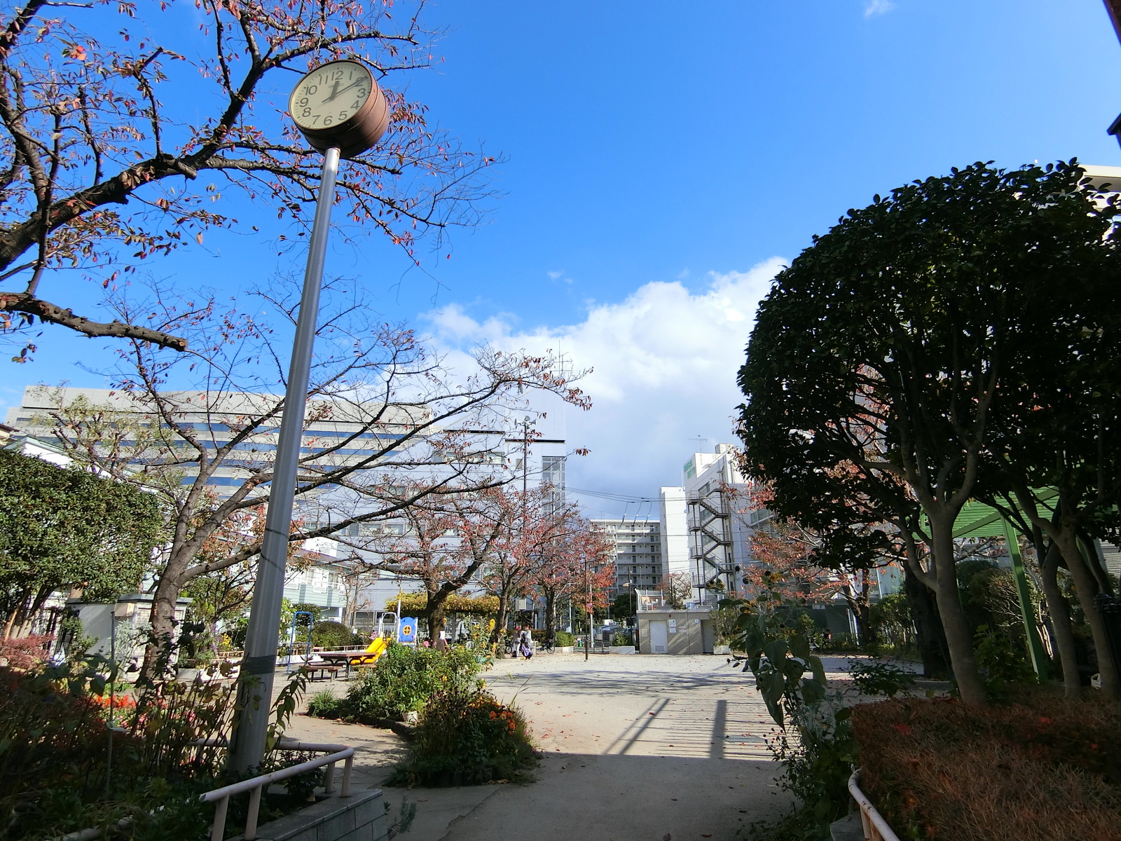 向かいの品川区立洲崎公園