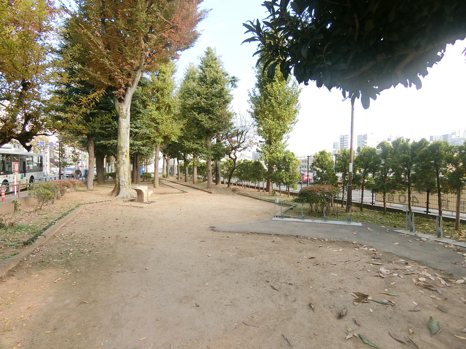 向かいの七号通り公園
