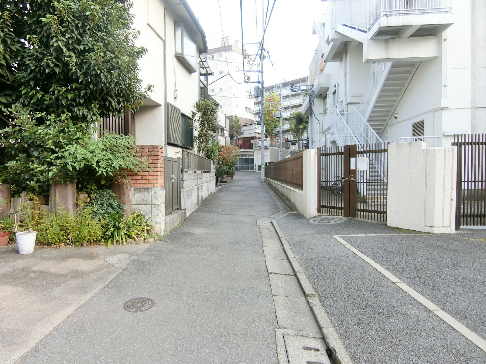 OGATAビル前面の通り