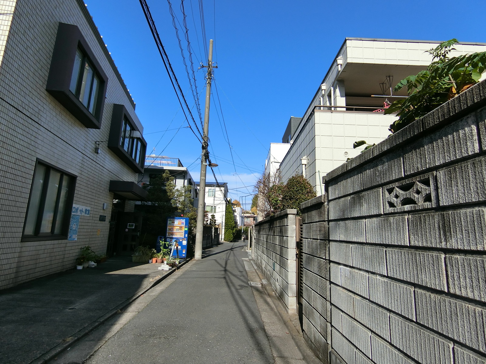 オフィス前面の通り