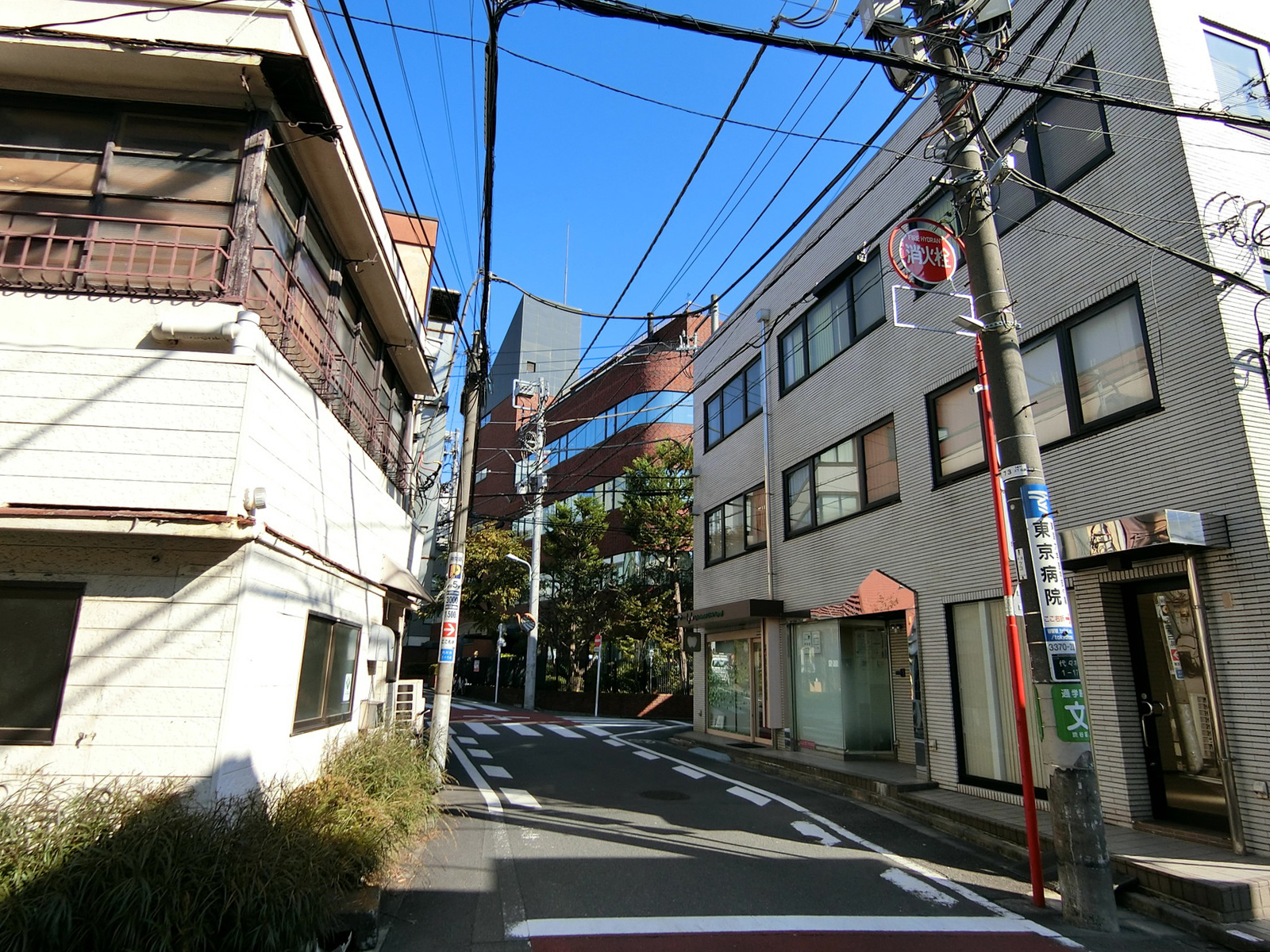 周辺は落ち着いた雰囲気のエリア