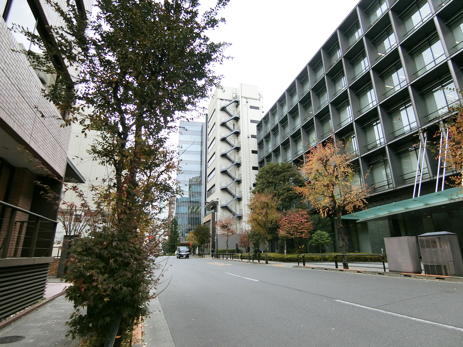 五番町マンション前面の通り