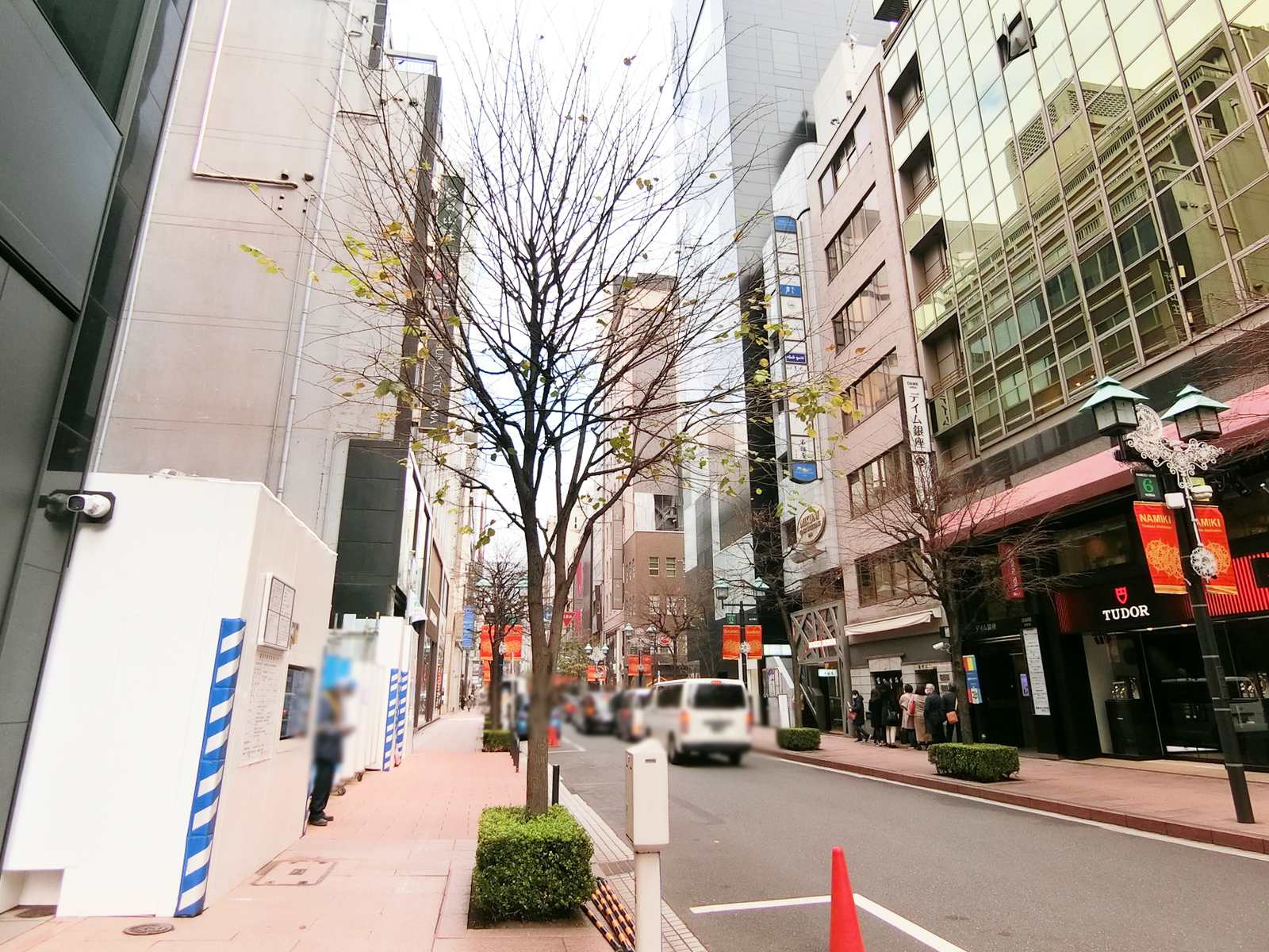 岩月ビル前面の並木通り