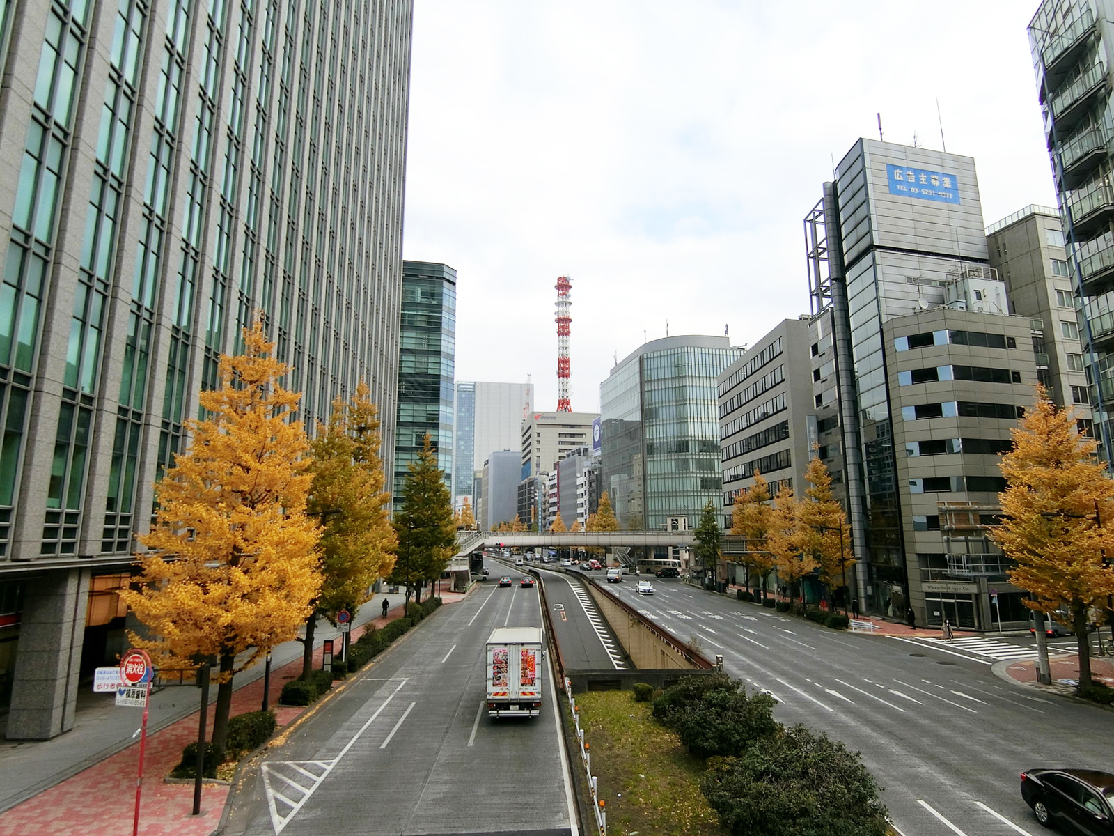 付近の昭和通り