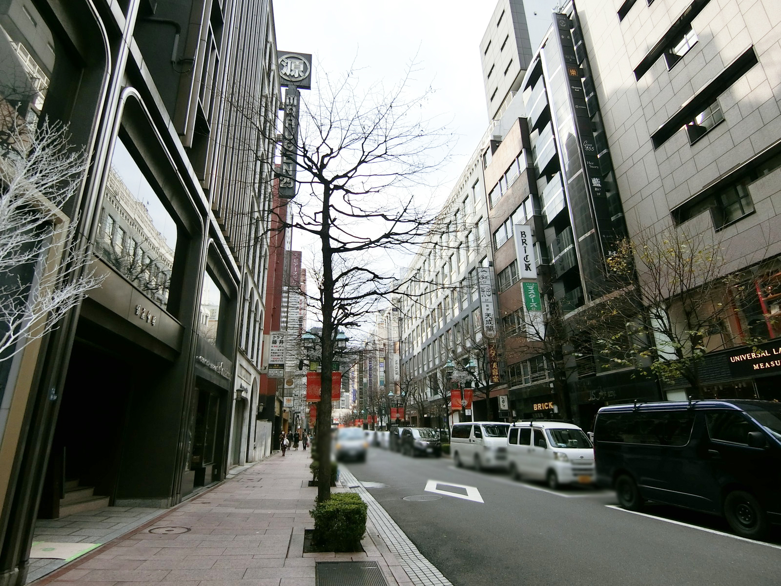 銀座マジソンビル前面の並木通り