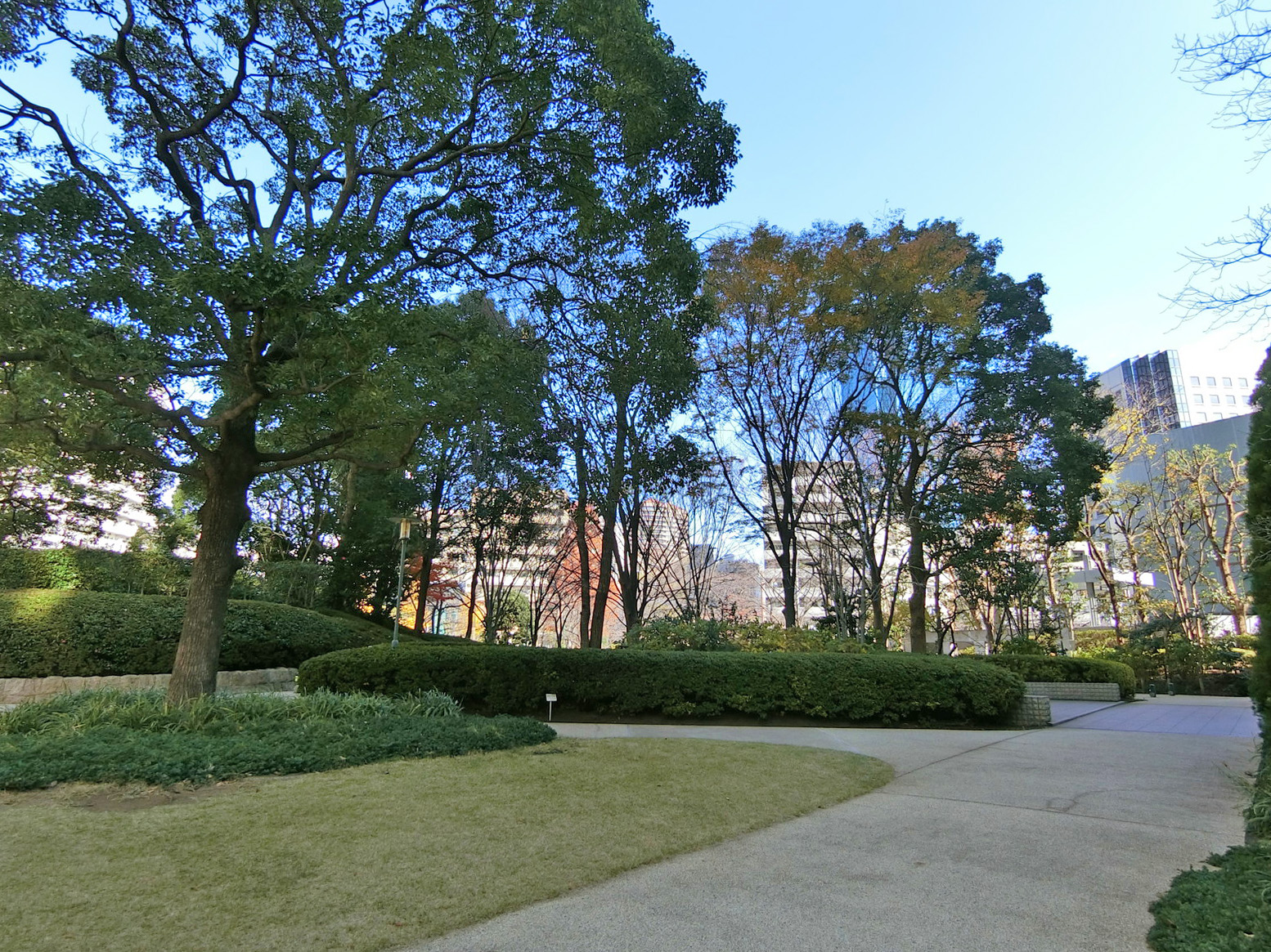 至近の居木橋公園