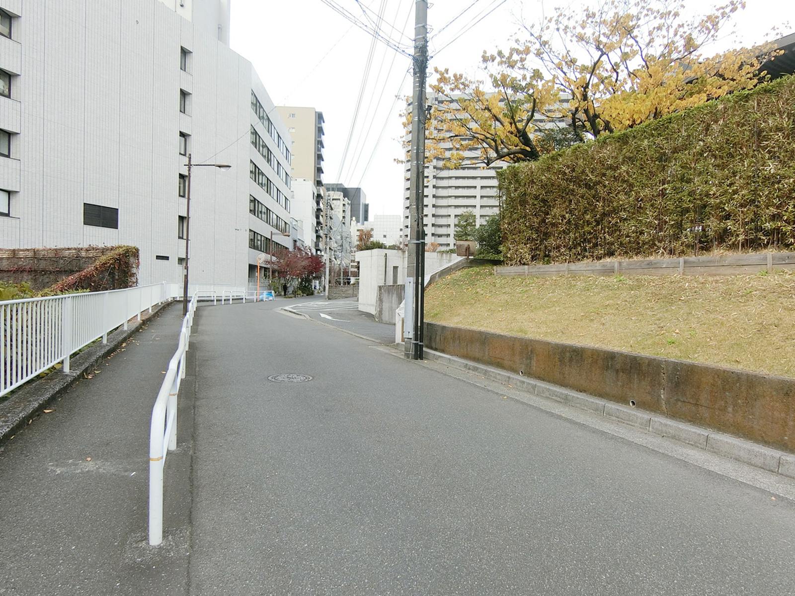 せんりゅうどうビル前面の国立劇場通り