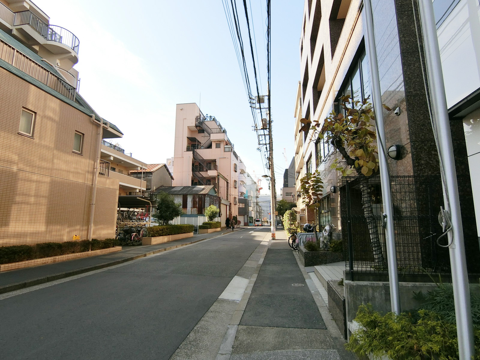 クロス本社ビル前面の通り