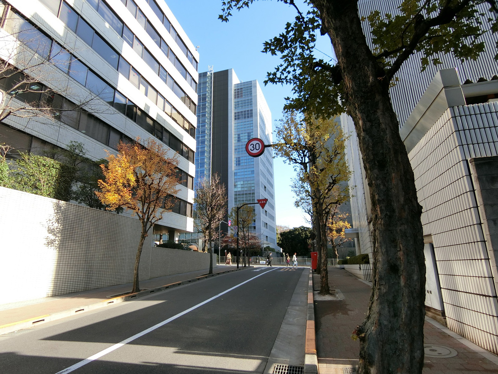 石油健保ビル前面の番町学園通り