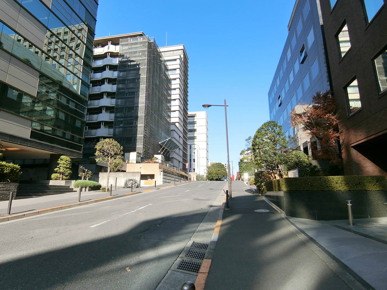 三番町彌生館前面の通り